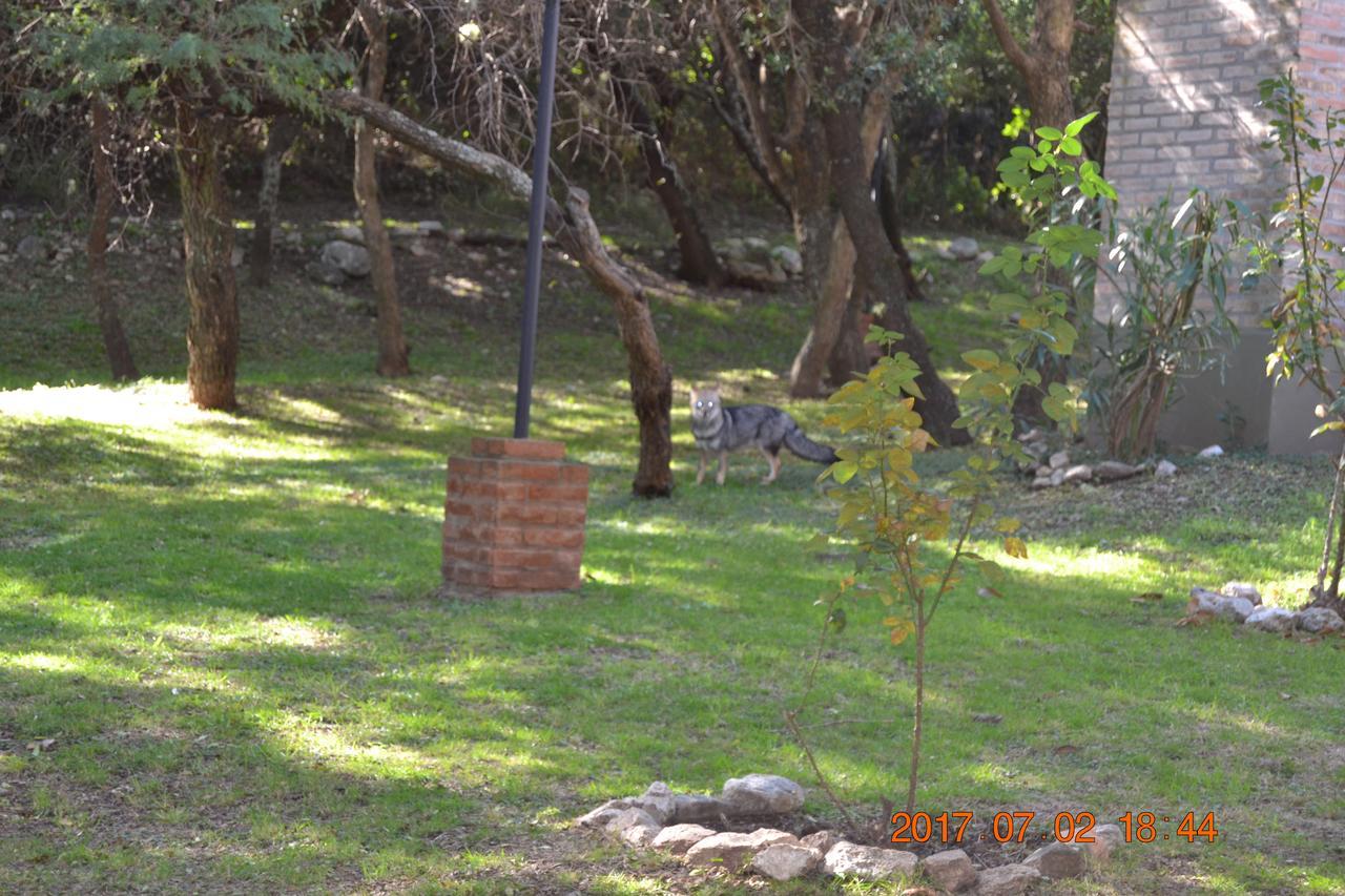Cabanas Del Bosque Villa Merlo Esterno foto
